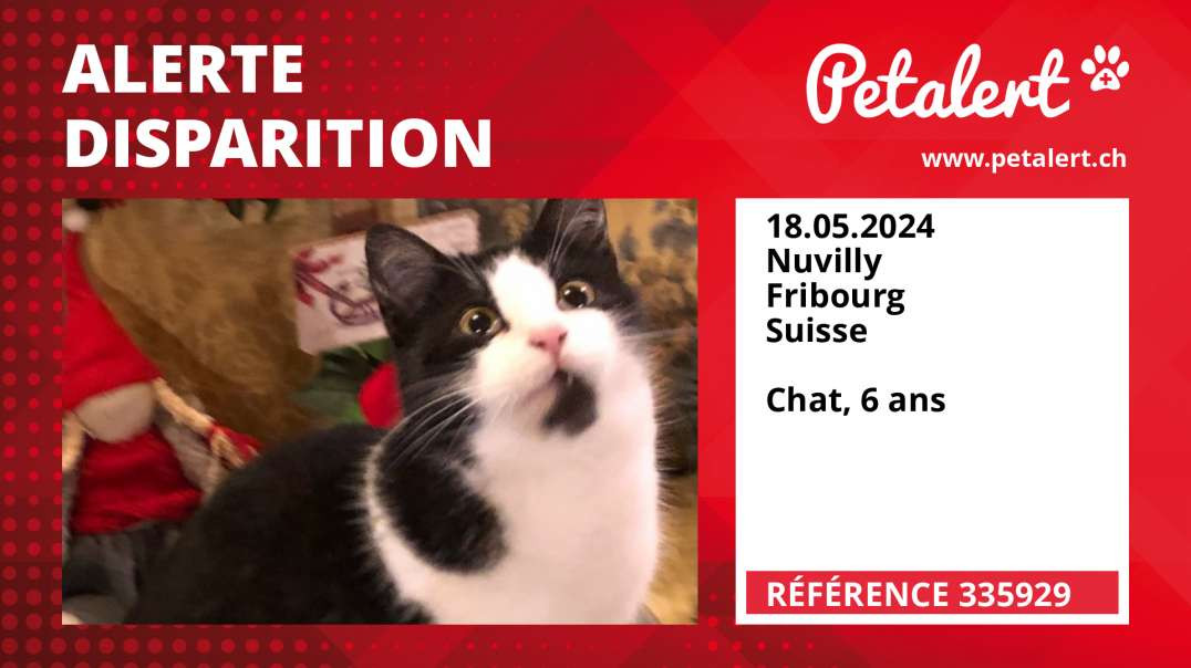 Alerte Disparition #335929 Nuvilly / Fribourg / Suisse