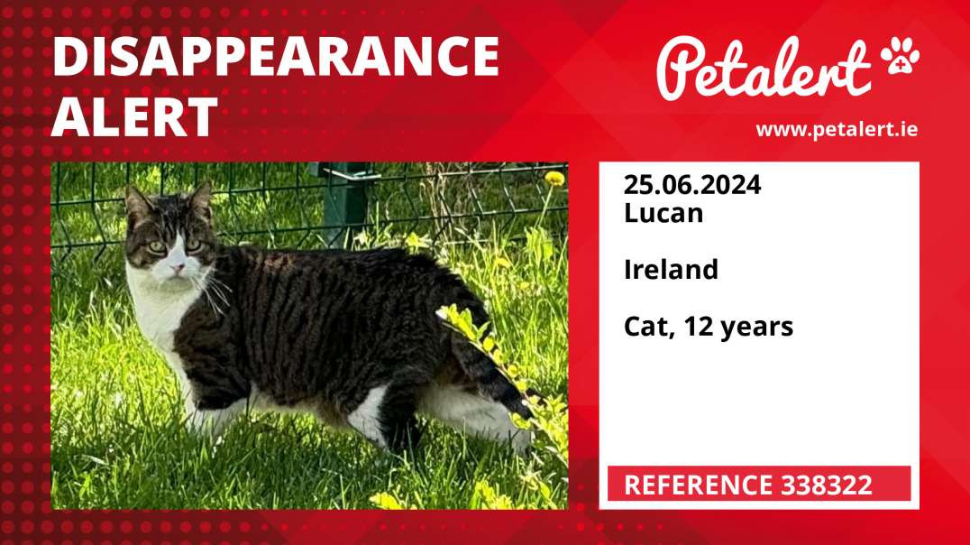 Disappearance alert #338322 Lucan /  / Ireland