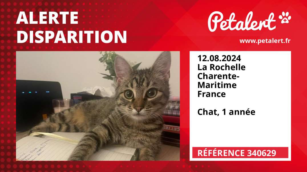 Alerte Disparition #340629 La Rochelle / Charente-Maritime / France