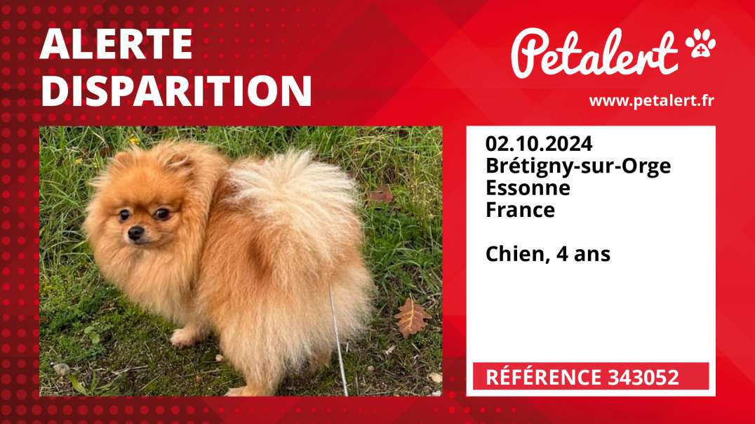 Alerte Disparition #343052 Brétigny-sur-Orge / Essonne / France