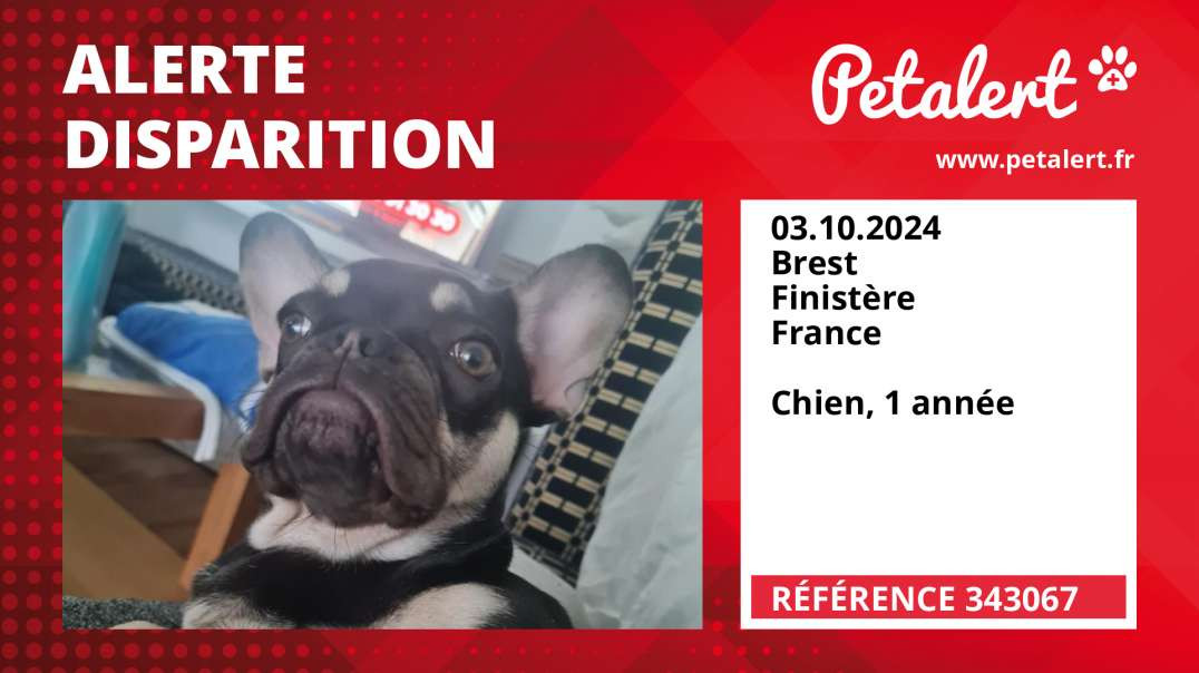 Alerte Disparition #343067 Brest / Finistère / France