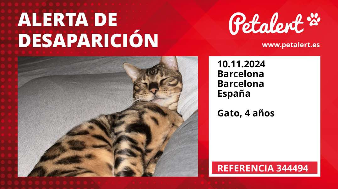 Alerta de Desaparición #344494 Barcelona / Barcelona / España