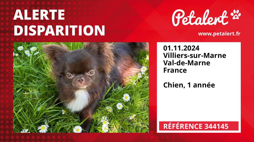 Alerte Disparition #344145 Villiers-sur-Marne / Val-de-Marne / France