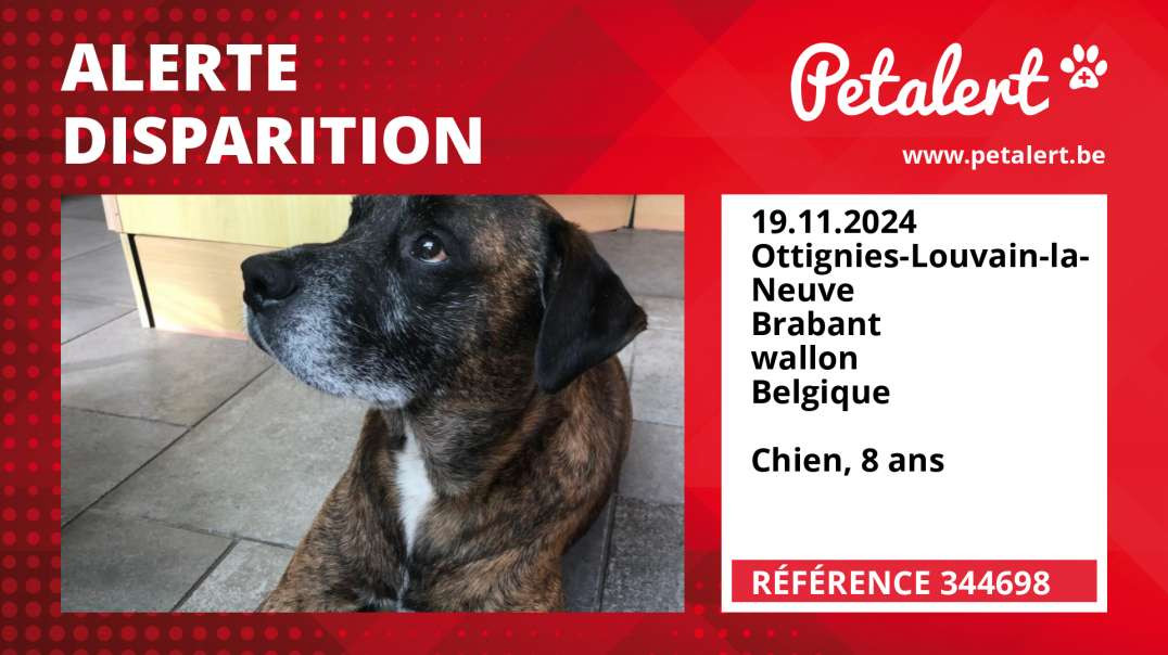 Alerte Disparition #344698 Ottignies-Louvain-la-Neuve / Brabant wallon / Belgique