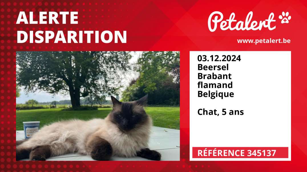 Alerte Disparition #345137 Beersel / Brabant flamand / Belgique