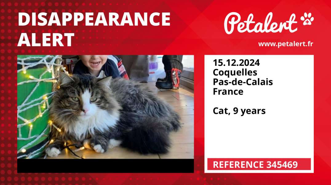 Disappearance alert #345469 Coquelles / Pas-de-Calais / France