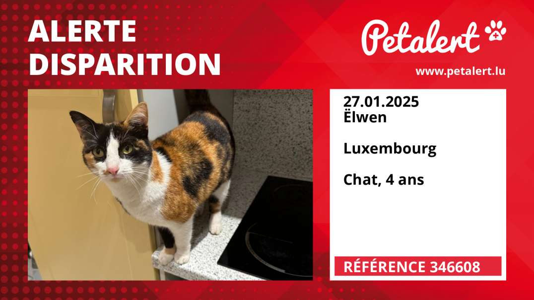 Alerte Disparition #346608 Ëlwen /  / Luxembourg