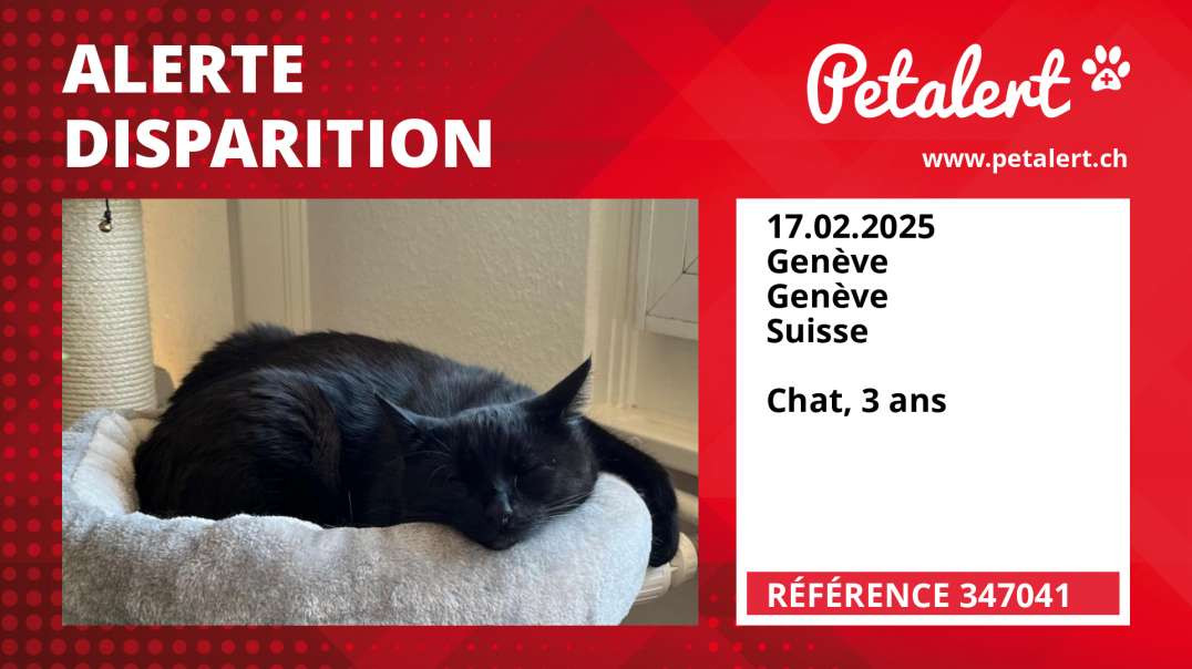 Alerte Disparition #347041 Genève / Genève / Suisse