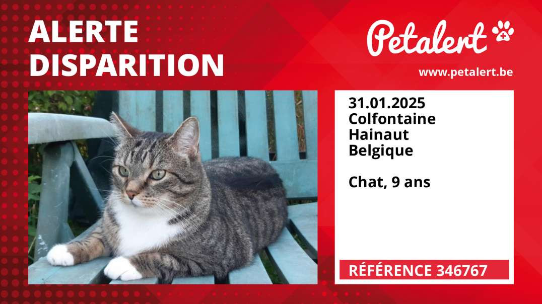 Alerte Disparition #346767 Colfontaine / Hainaut / Belgique