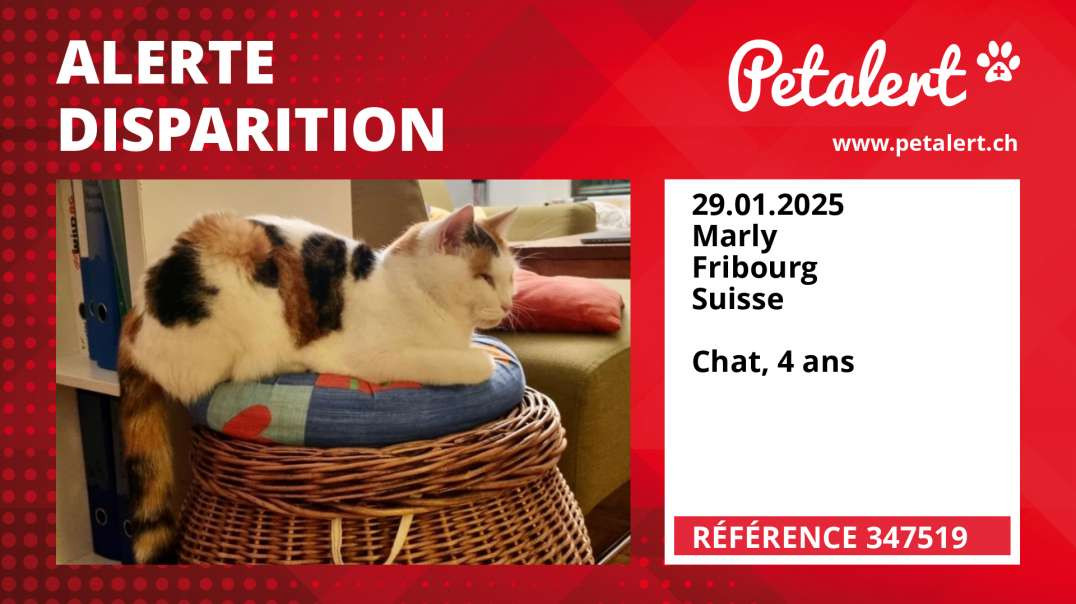 Alerte Disparition #347519 Marly / Fribourg / Suisse