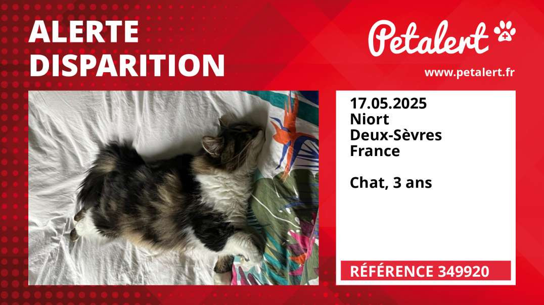 Alerte Disparition #349920 Niort / Deux-Sèvres / France