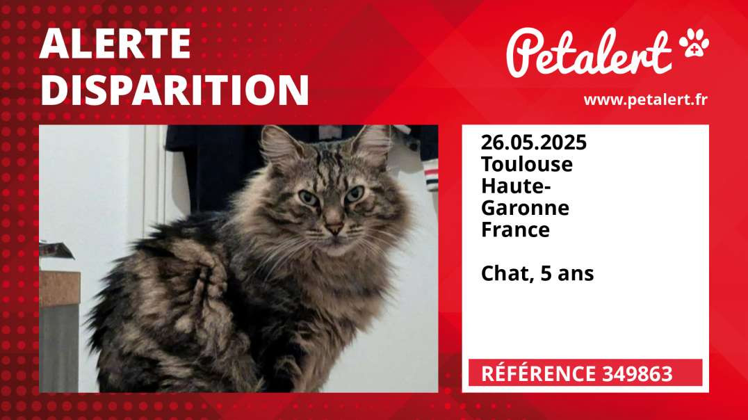 Alerte Disparition #349863 Toulouse / Haute-Garonne / France