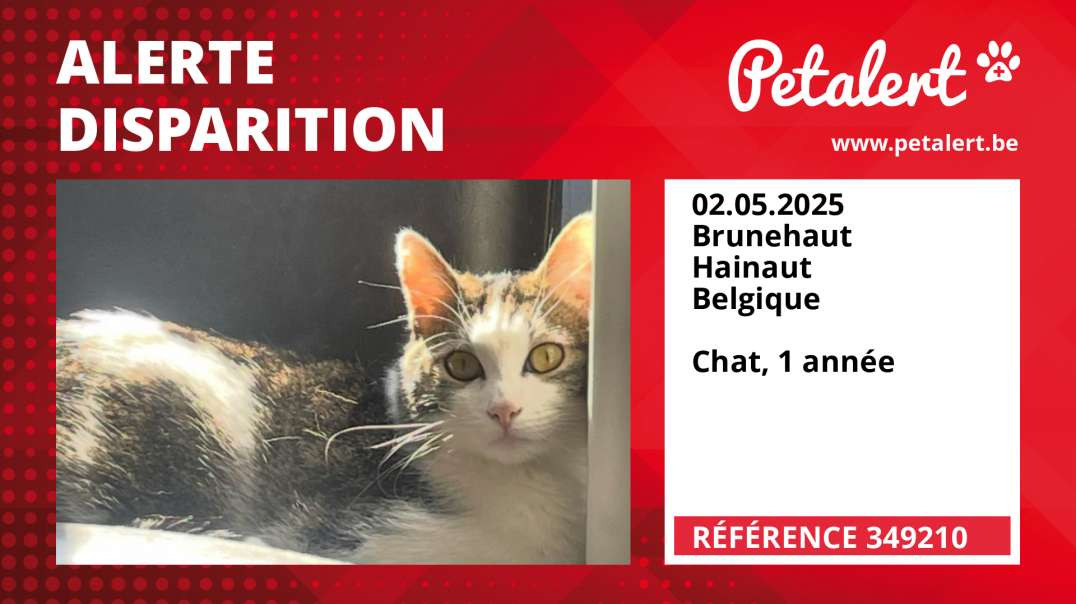 Alerte Disparition #349210 Brunehaut / Hainaut / Belgique