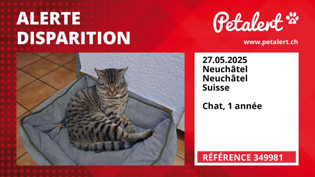 Alerte Disparition #349981 Neuchâtel / Neuchâtel / Suisse