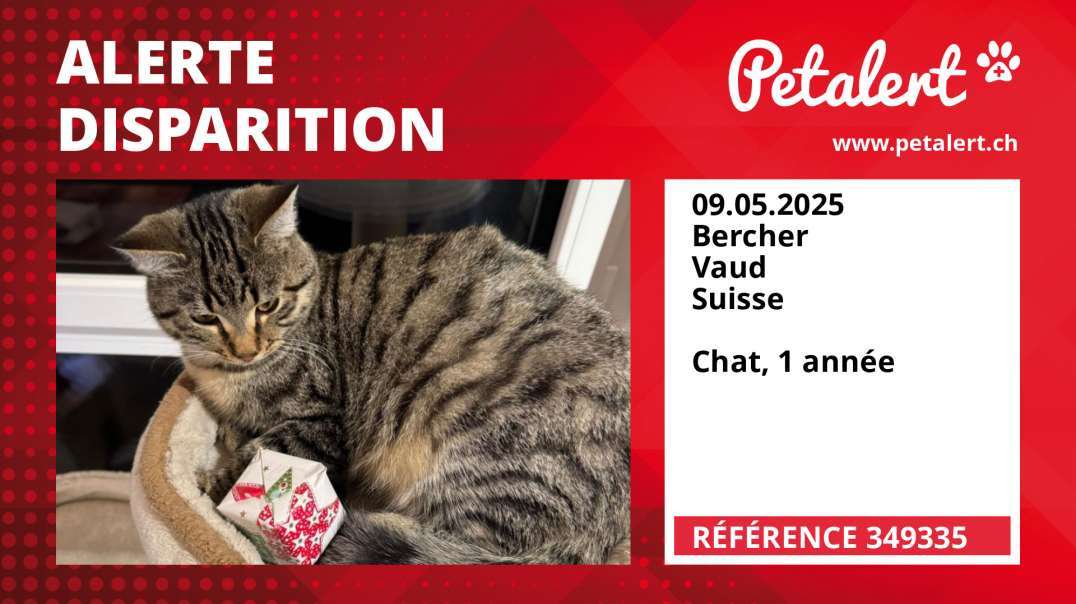 Alerte Disparition #349335 Bercher / Vaud / Suisse