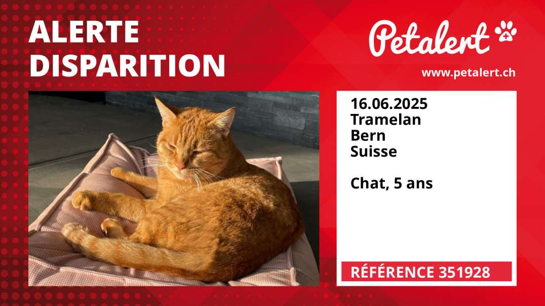Alerte Disparition #351928 Tramelan / Bern / Suisse
