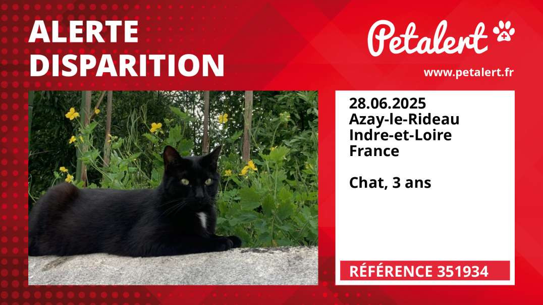 Alerte Disparition #351934 Azay-le-Rideau / Indre-et-Loire / France