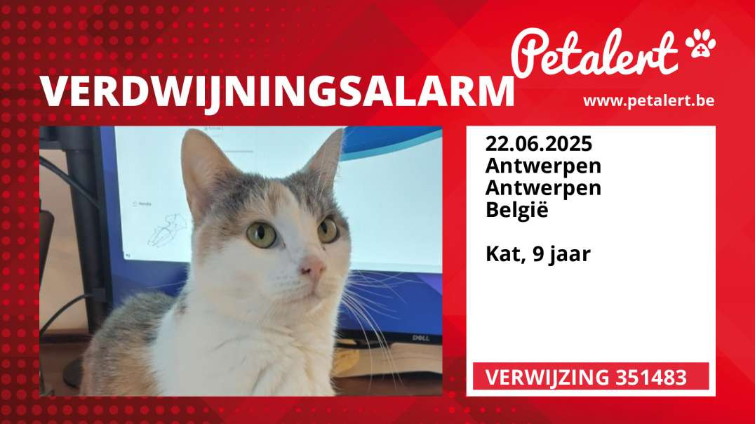 Verdwijningsalarm #351483 Antwerpen / Antwerpen / België