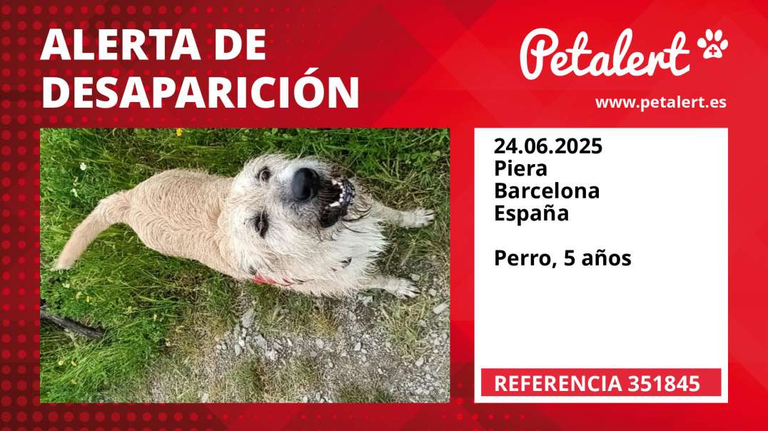 Alerta de Desaparición #351845 Piera / Barcelona / España