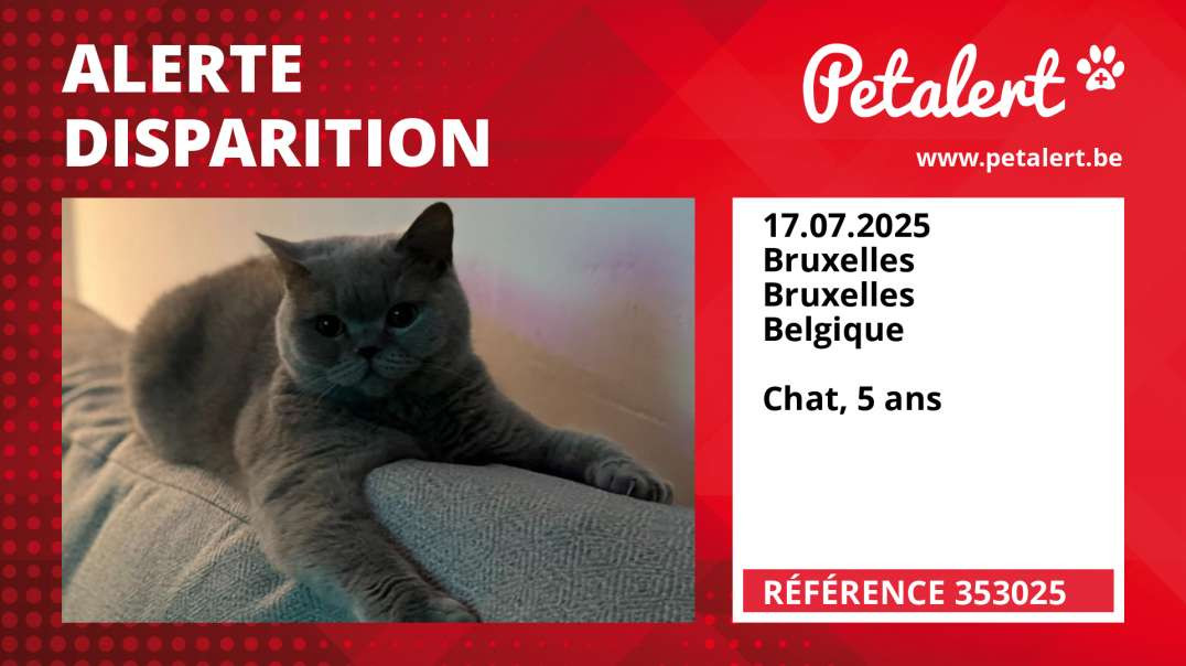 Alerte Disparition #353025 Bruxelles / Bruxelles / Belgique