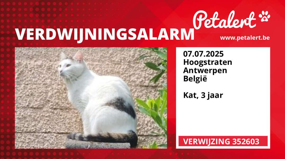 Verdwijningsalarm #352603 Hoogstraten / Antwerpen / België