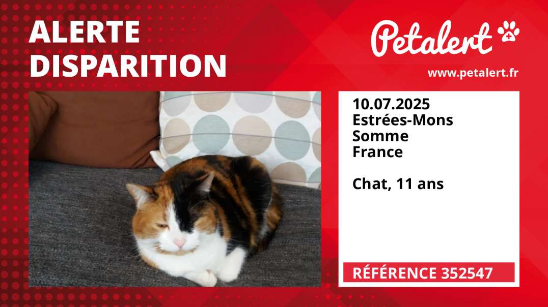 Alerte Disparition #352547 Estrées-Mons / Somme / France