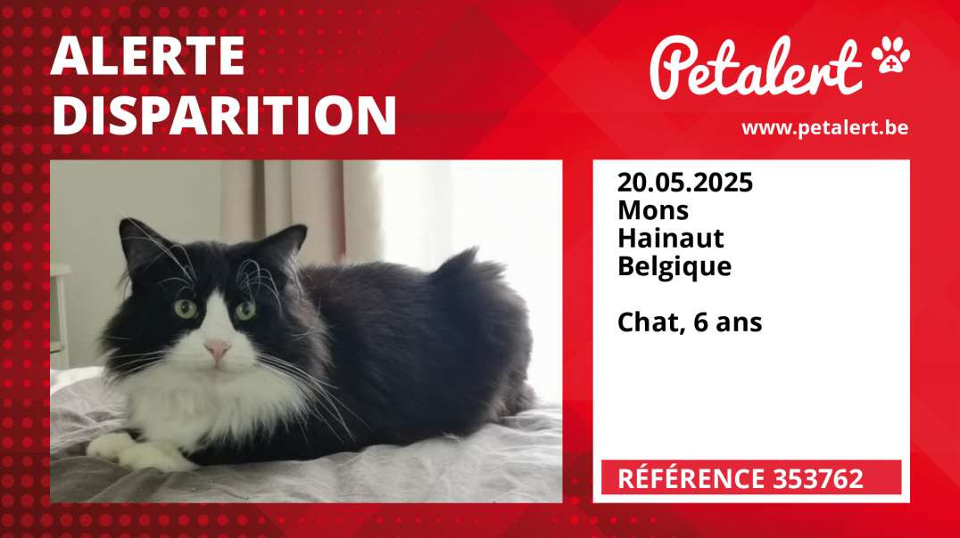 Alerte Disparition #353762 Mons / Hainaut / Belgique