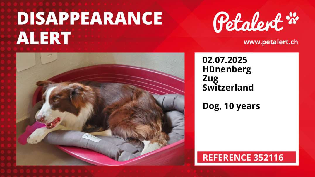 Disappearance alert #352116 Hünenberg / Zug / Switzerland