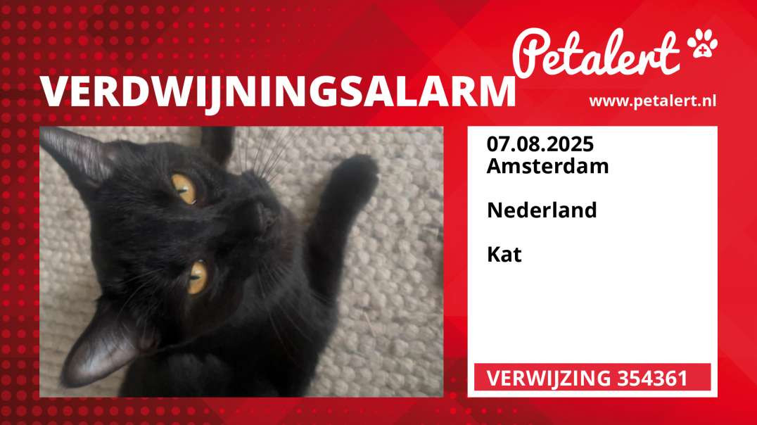 Verdwijningsalarm #354361 Amsterdam /  / Nederland