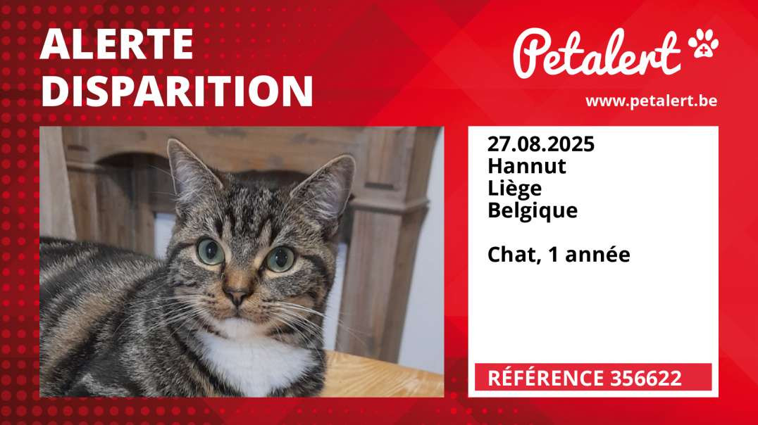 Alerte Disparition #356622 Hannut / Liège / Belgique