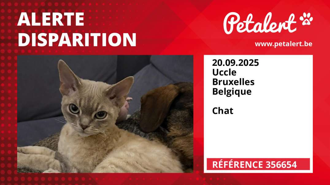Alerte Disparition #356654 Uccle / Bruxelles / Belgique