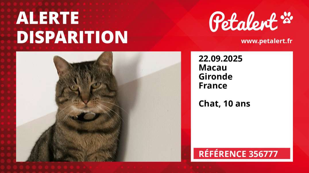 Alerte Disparition #356777 Macau / Gironde / France