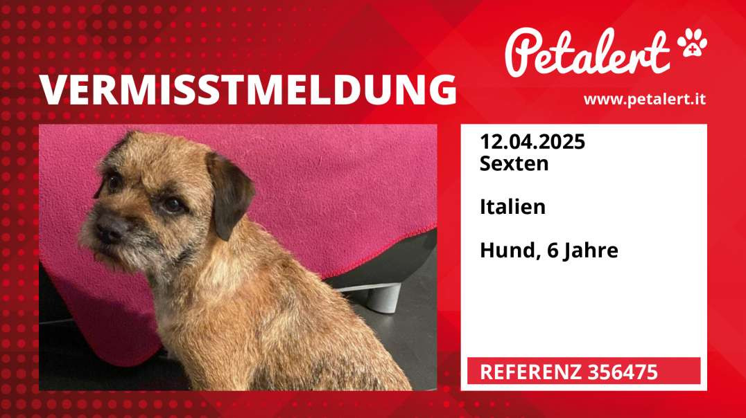 Vermisstmeldung #356475 Sexten /  / Italien