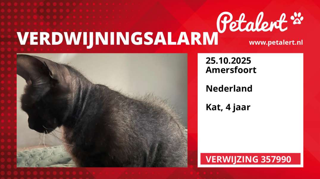 Verdwijningsalarm #357990 Amersfoort /  / Nederland