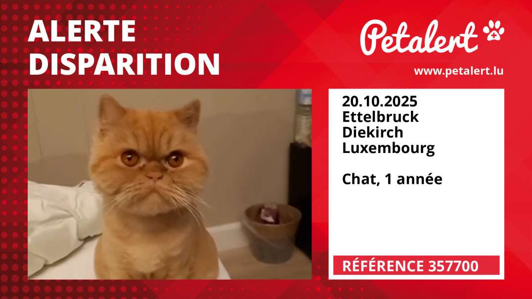 Alerte Disparition #357700 Ettelbruck / Diekirch / Luxembourg