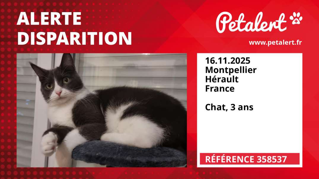 Alerte Disparition #358537 Montpellier / Hérault / France