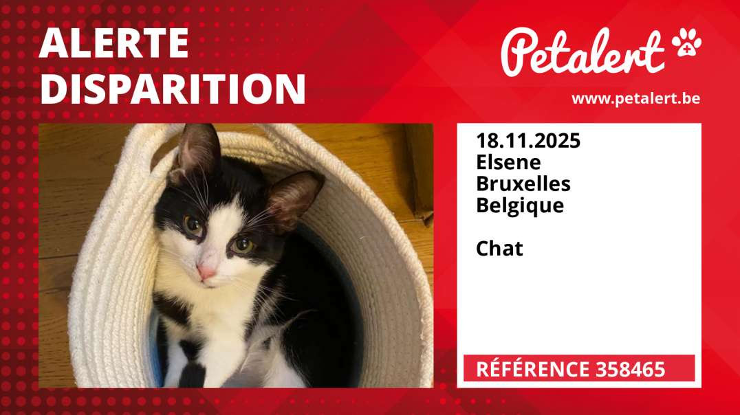 Alerte Disparition #358465 Elsene / Bruxelles / Belgique