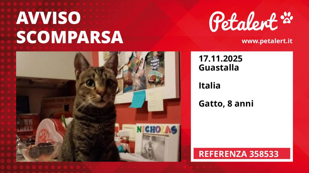 Avviso scomparsa #358533 Guastalla /  / Italia