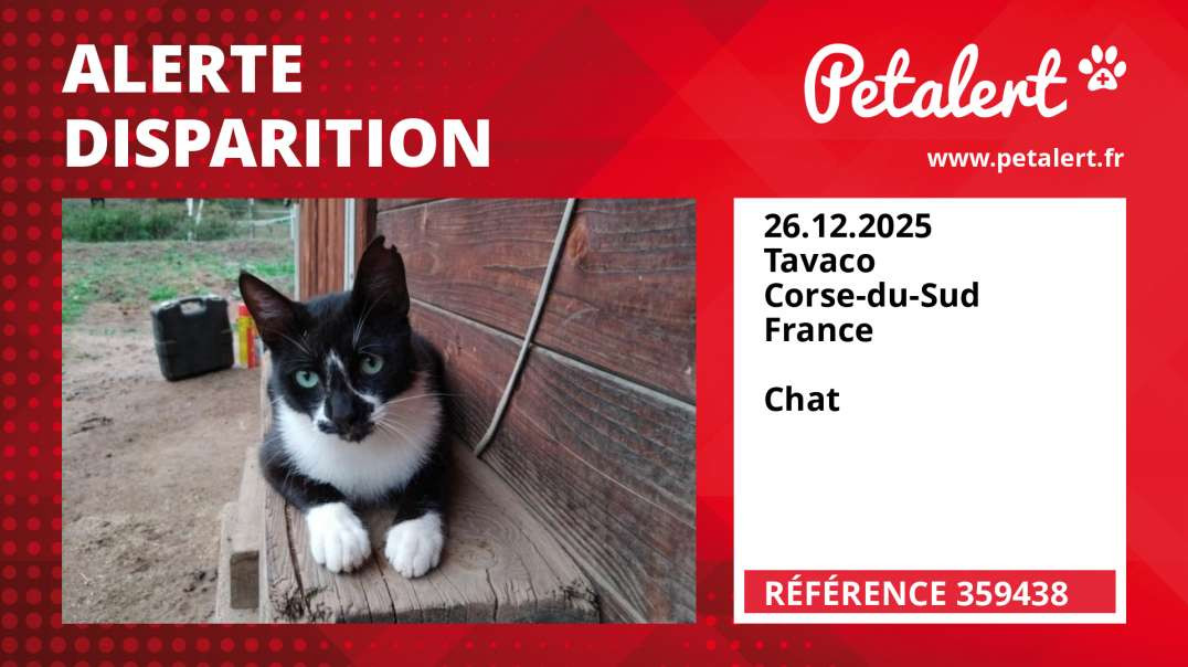 Alerte Disparition #359438 Tavaco / Corse-du-Sud / France
