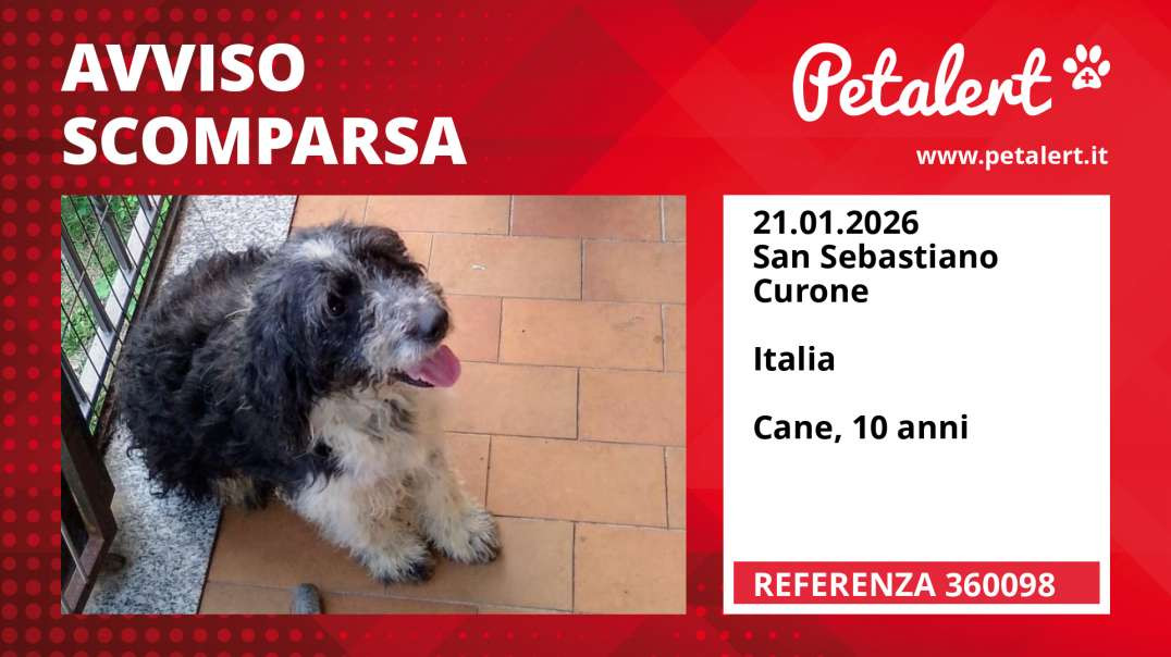 Avviso scomparsa #360098 San Sebastiano Curone /  / Italia
