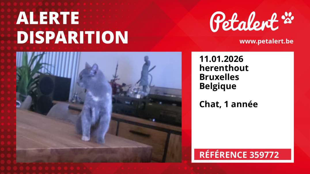 Alerte Disparition #359772 herenthout / Bruxelles / Belgique