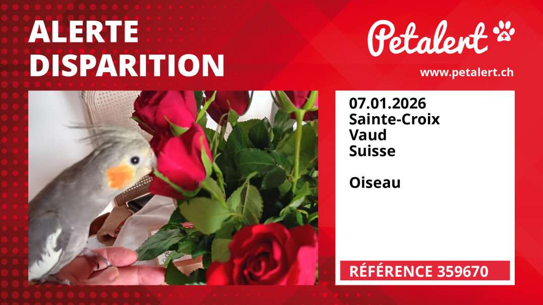 Alerte Disparition #359670 Sainte-Croix / Vaud / Suisse