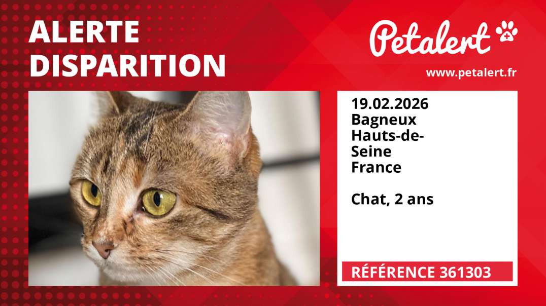 Alerte Disparition #361303 Bagneux / Hauts-de-Seine / France