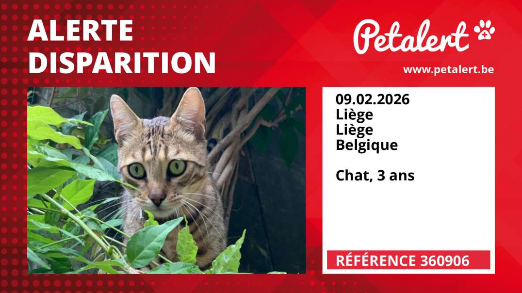 Alerte Disparition #360906 Liège / Liège / Belgique