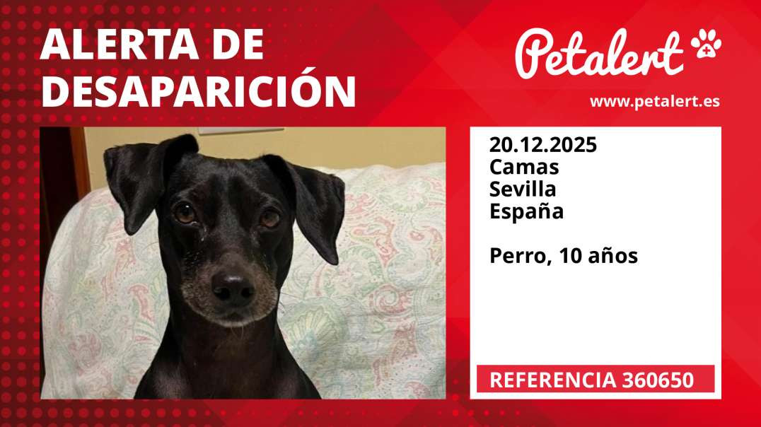 Alerta de Desaparición #360650 Camas / Sevilla / España