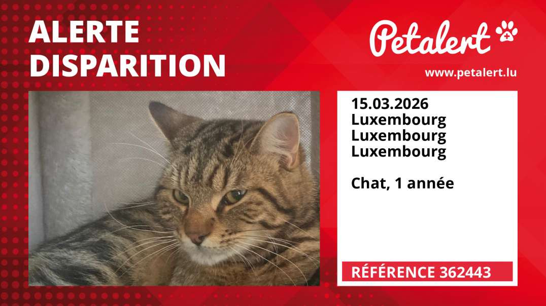 Alerte Disparition #362443 Luxembourg / Luxembourg / Luxembourg