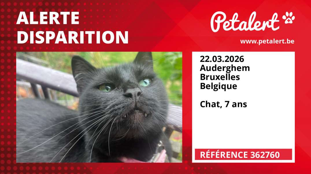 Alerte Disparition #362760 Auderghem / Bruxelles / Belgique