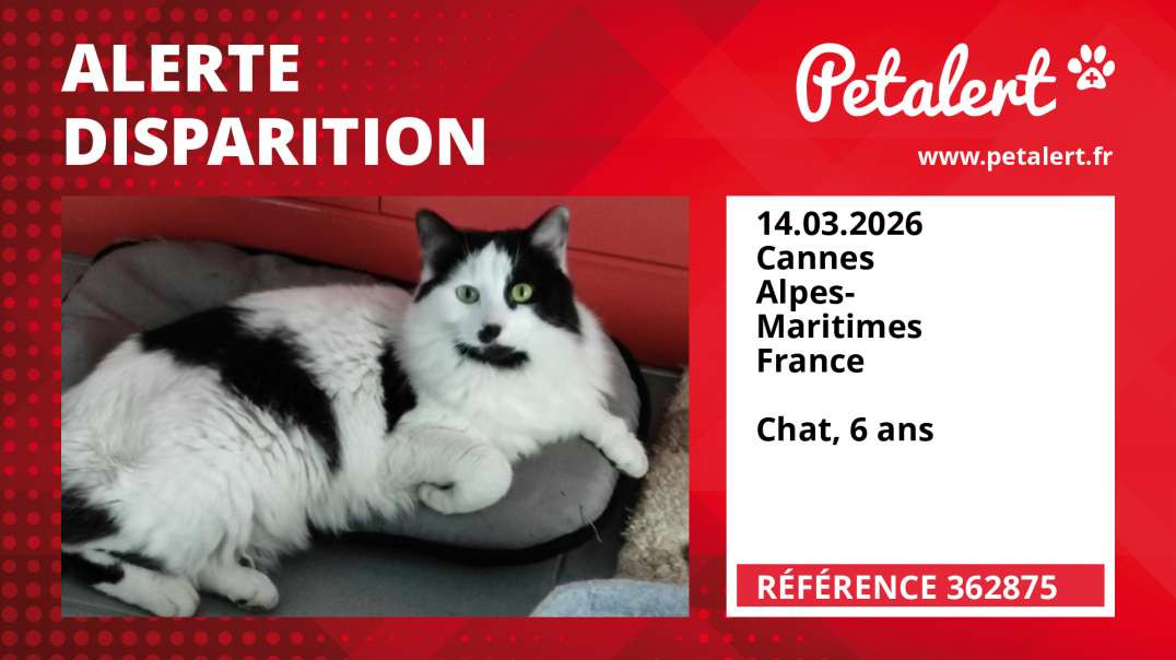 Alerte Disparition #362875 Cannes / Alpes-Maritimes / France