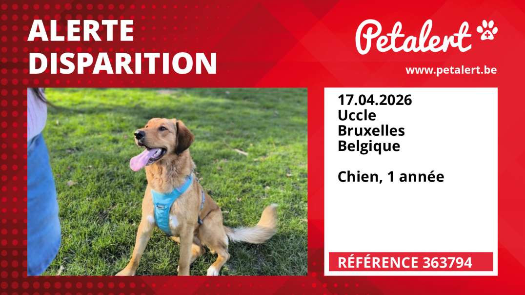 Alerte Disparition #363794 Uccle / Bruxelles / Belgique