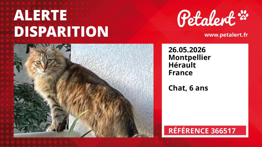 Alerte Disparition #366517 Montpellier / Hérault / France